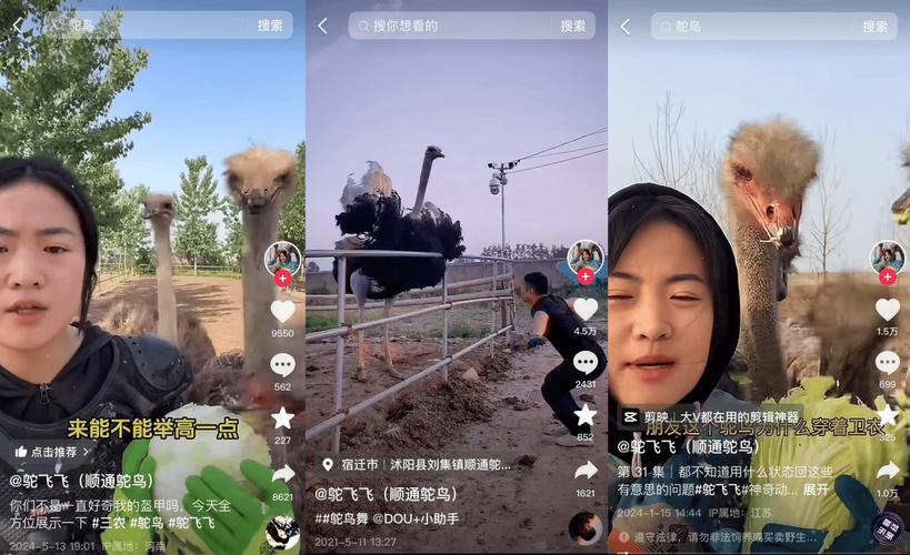 抖音业务24小时在线下单免费服务开启 助力创作者高效运营