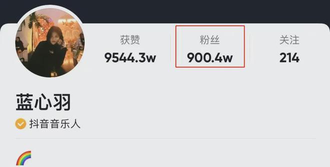 抖音业务粉丝量激增新策略，24小时秒单服务引领行业新风尚