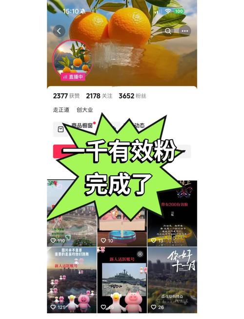 惊爆！1元即可获1000个粉丝，涨粉新途径引发热议