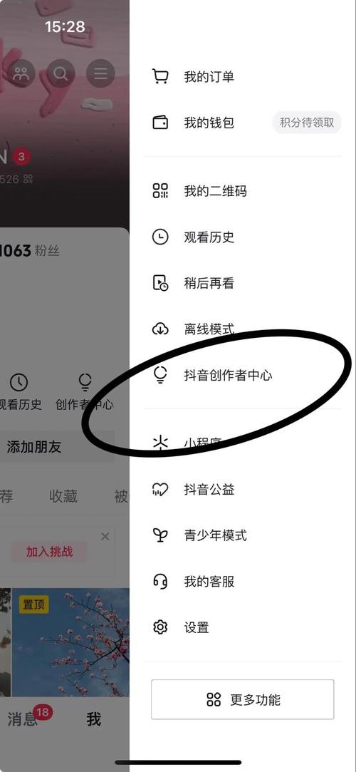 揭秘免费涨粉新途径，1000粉丝软件引发行业热议
