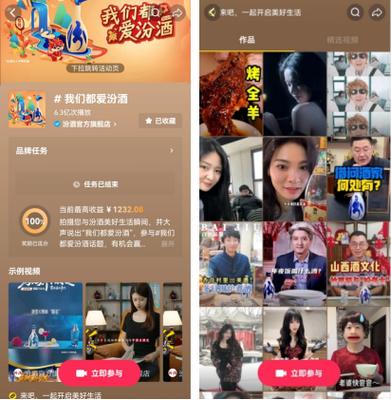 揭秘低价抖音粉丝平台，机遇背后暗藏行业规范挑战