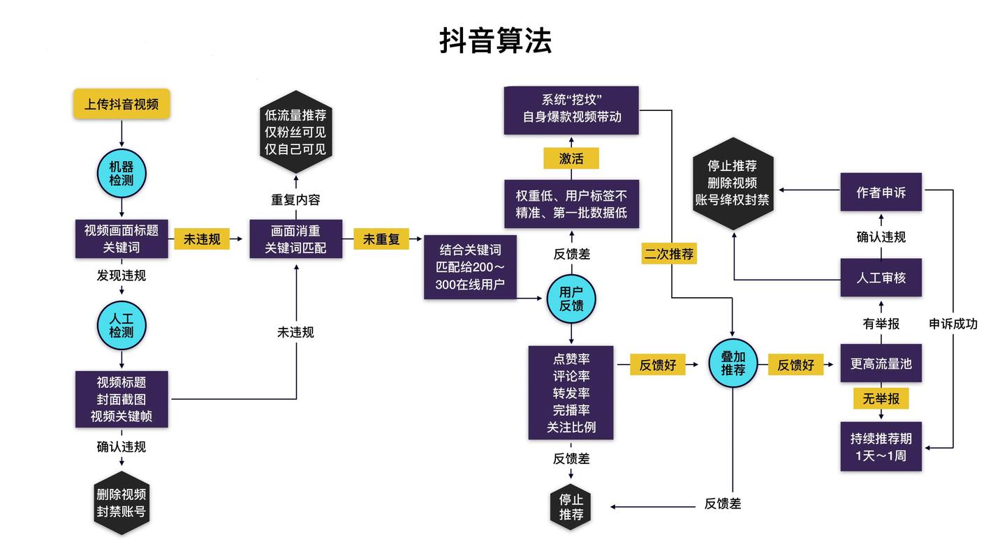 抖音点赞服务现最低价风潮，行业规范与质量保障成焦点