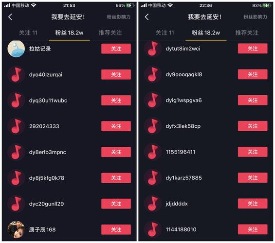 抖音6元1000粉丝网站