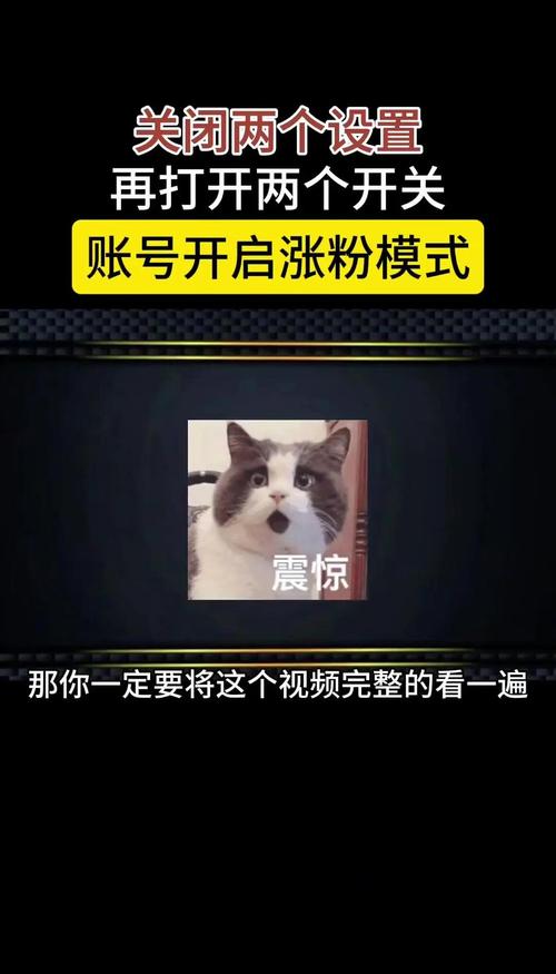 新手必看！揭秘7天涨粉1万实战攻略，解锁流量密码