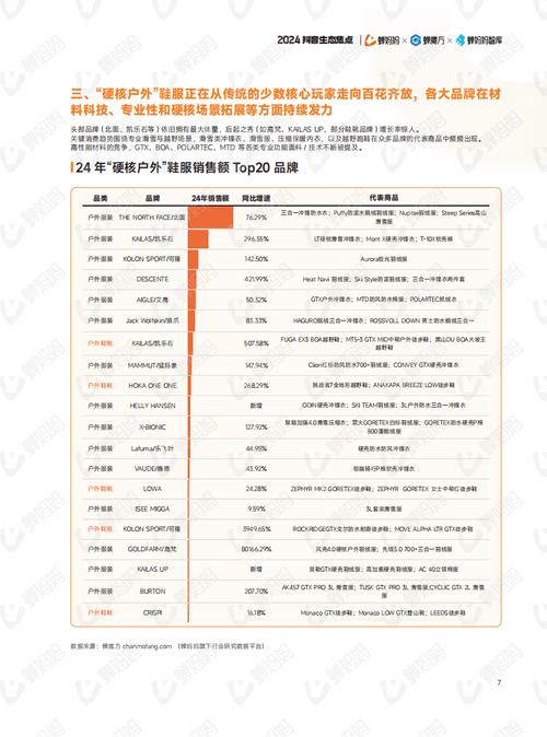 业务新突破，深度解析抖音粉丝经济赋能企业增长路径