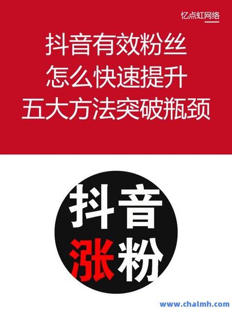 深度解析，抖音作品粉丝业务网站全览及行业规范