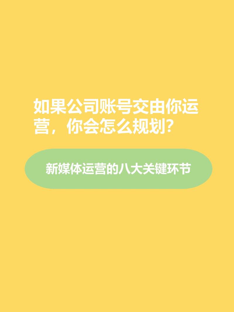 抖音粉丝业务新渠道，安全下单链接助力账号快速成长