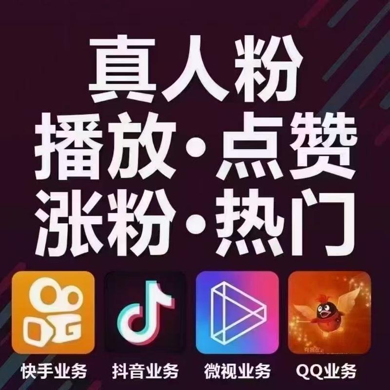 抖音涨粉新利器，专业粉丝评论套餐平台助力账号腾飞