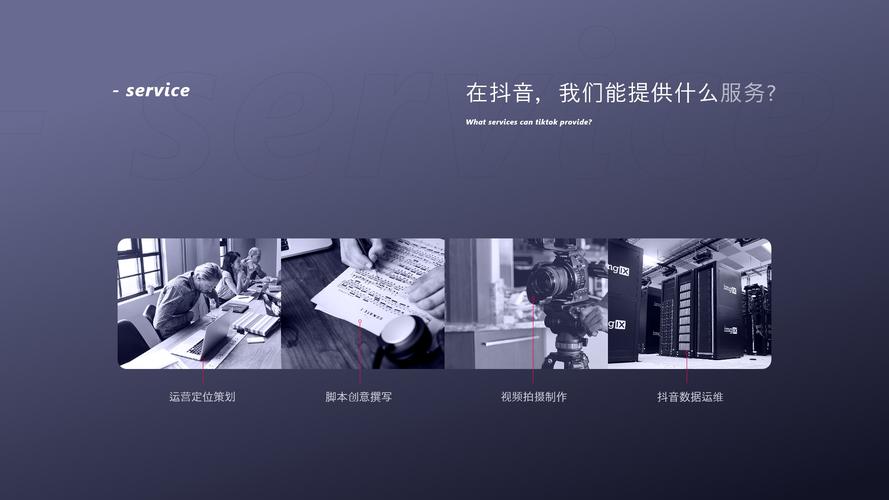 抖音粉丝经济新引擎，专业下单网站助力流量高效转化