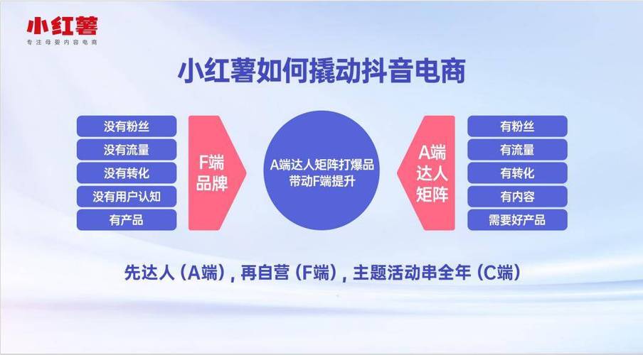 抖音粉丝经济新引擎，专业下单网站助力流量高效转化