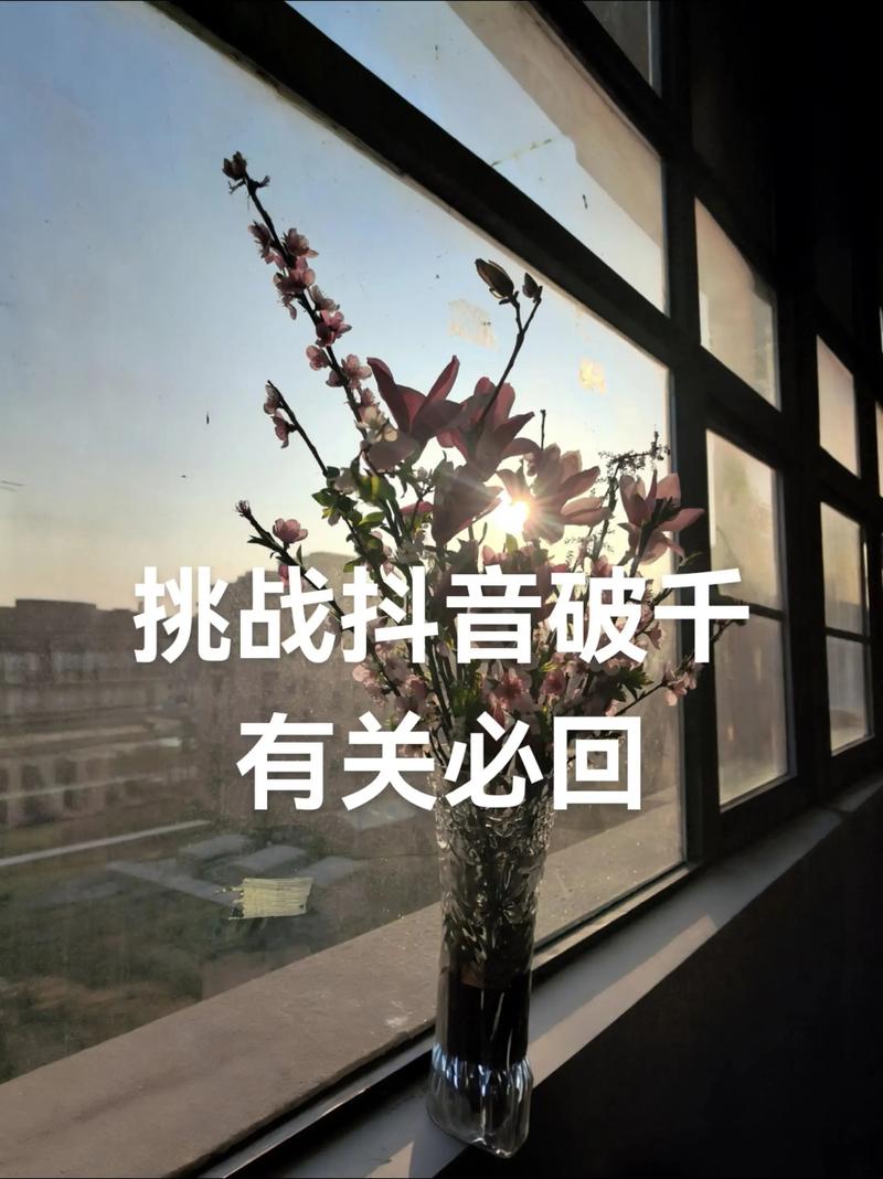 抖音1000点赞速成攻略，专业方法助你快速突破流量瓶颈