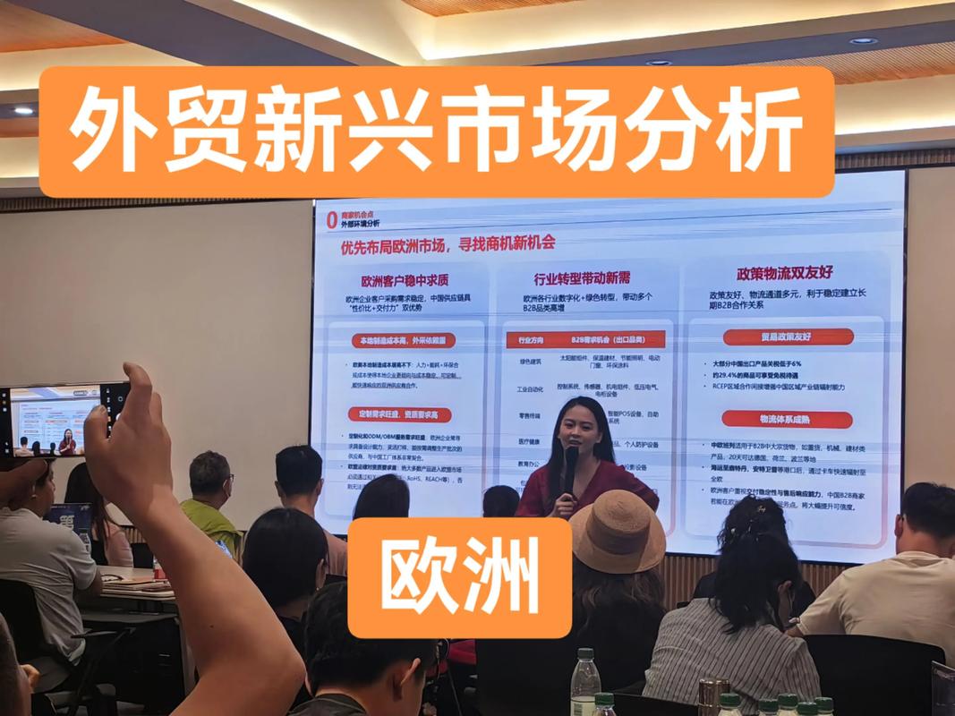 揭秘低价涨粉平台，机遇与风险并存的新兴市场