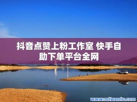 抖音业务自助平台推出超低价服务，不掉赞保障获市场热捧