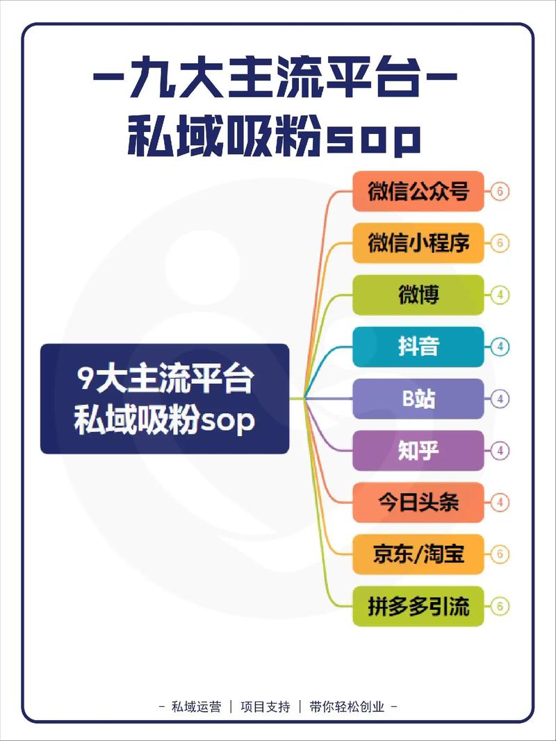 抖音粉自助平台崛起，数字化时代下的粉丝增长新路径