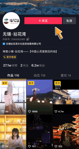 抖音点赞业务秒低价24小时在线，行业新动态引发关注