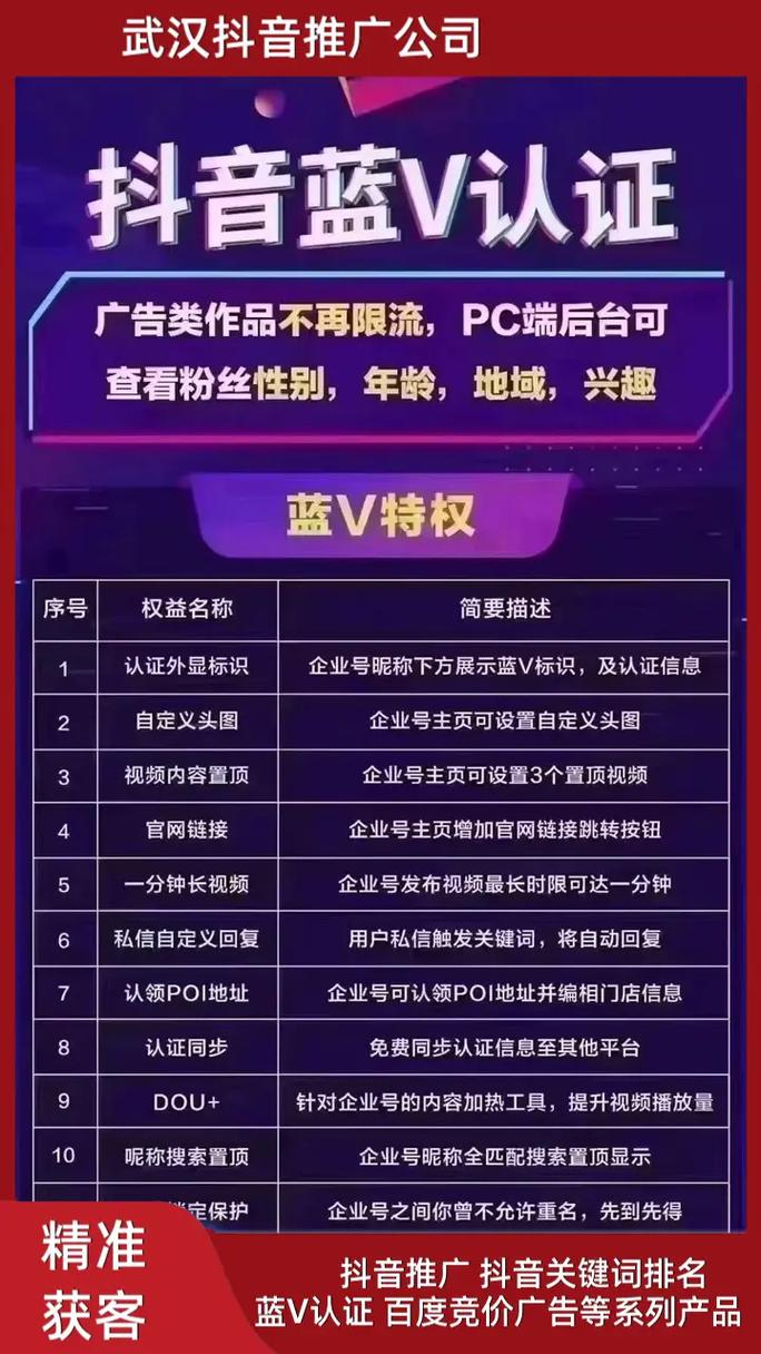抖音涨粉新利器，专业网址助力账号快速突破粉丝瓶颈