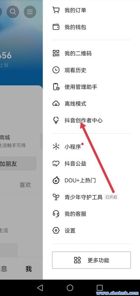 抖音点赞量提升新路径，专业平台助力内容创作者破圈
