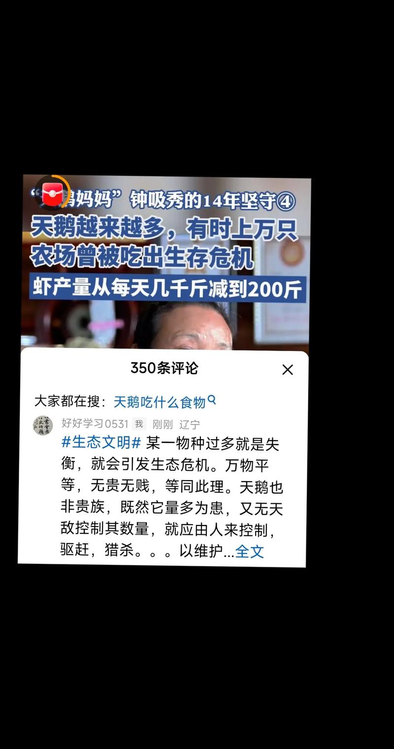 抖音一元500粉乱象调查，虚假繁荣背后的平台生态危机