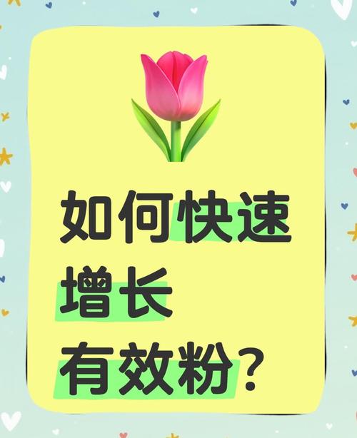 抖音涨粉秘籍大公开，多维度策略助你快速突破粉丝瓶颈