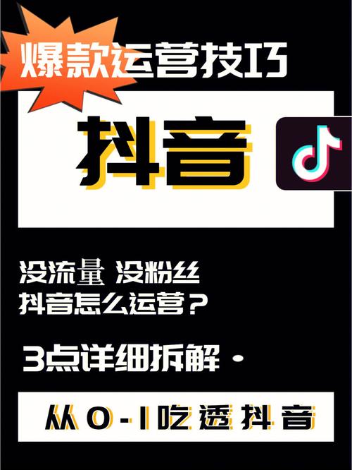 抖音运营新策略，揭秘一日斩获千赞的实战技巧