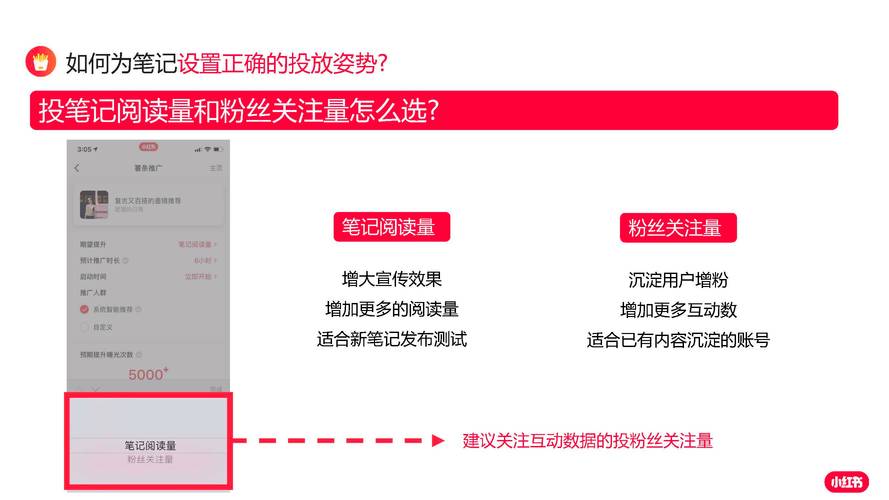 抖音涨粉新策略，零成本快速提升点赞量的实用指南