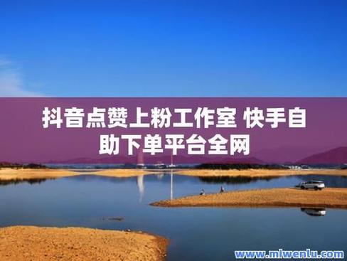 抖音点赞自助平台活粉服务兴起，助力创作者精准触达受众