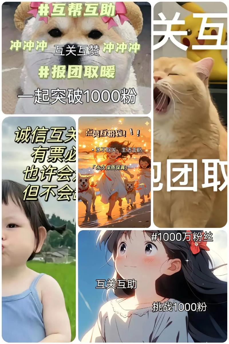 抖音买粉市场调查，1000粉丝价格区间与潜在风险解析