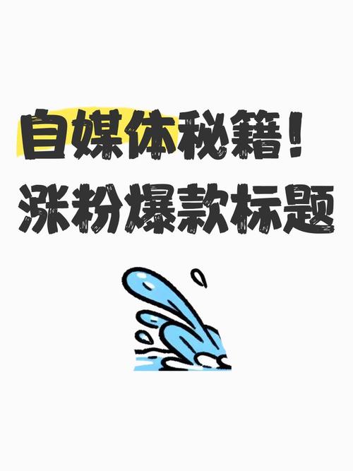 揭秘低价涨粉平台，低成本高效率的社交增长新路径