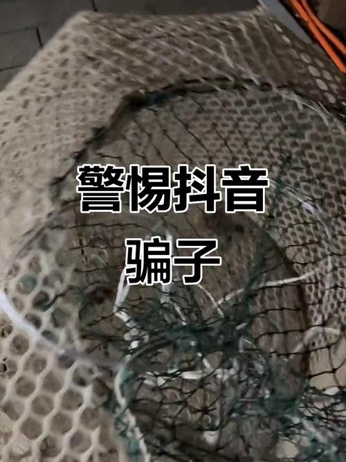 抖音刷赞新骗局曝光，宣称10000赞仅需一毛实为陷阱