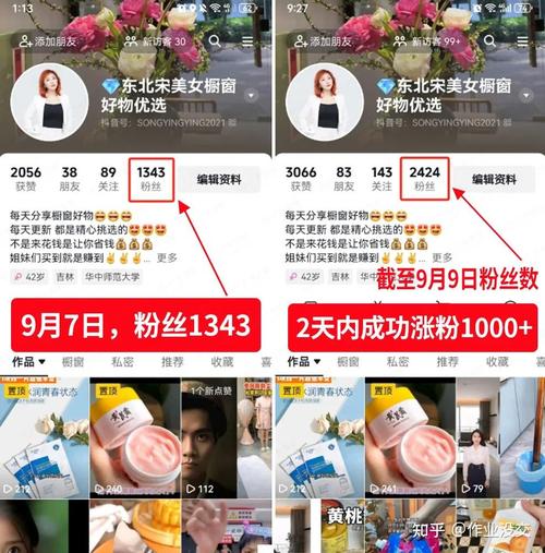 抖音3元1000粉自助平台引热议，低成本涨粉背后的行业生态观察