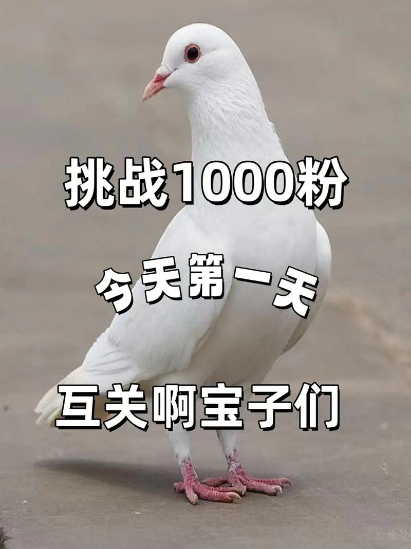 抖音惊现1元1000粉秒服务，平台生态遭挑战，用户需警惕风险